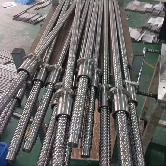 Sfu1204 1604 1605 1610 2004 2005 2010 2504 2505 2510 2510s 3205 3210 4005 4010 5005 5010 High Precision Ball Screw 