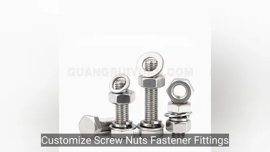 Stainless Steel Aluminum Precision Fastener Fittings Stainless Machined Nuts Screw 