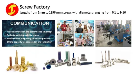 Round Head Bolt Black Titanium Bronze Flat China High Precision Stainless Steel Brass Anodized Aluminum Knurled Thumb Screws 